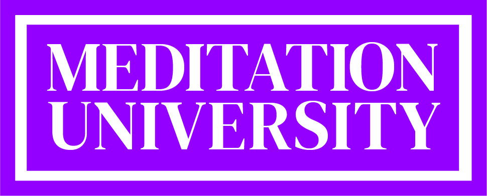 logo meditation-university dm-serif-display