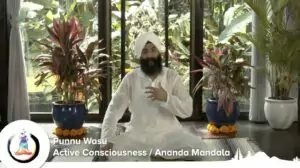 ananda mandala active consciousness meditation university